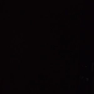 Meet your Posher, Sonja